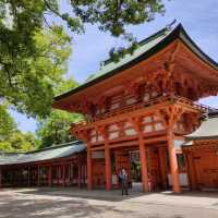 歴史ある都会のオアシス 大宮氷川神社