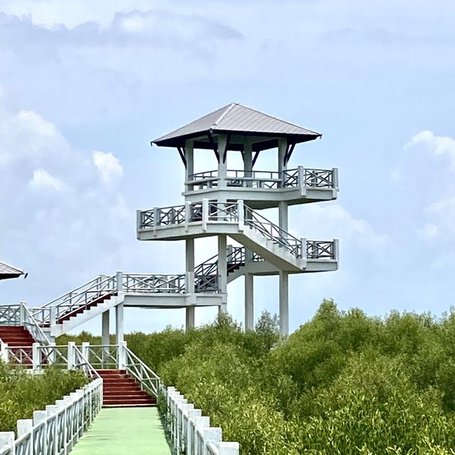 The Natural Trail