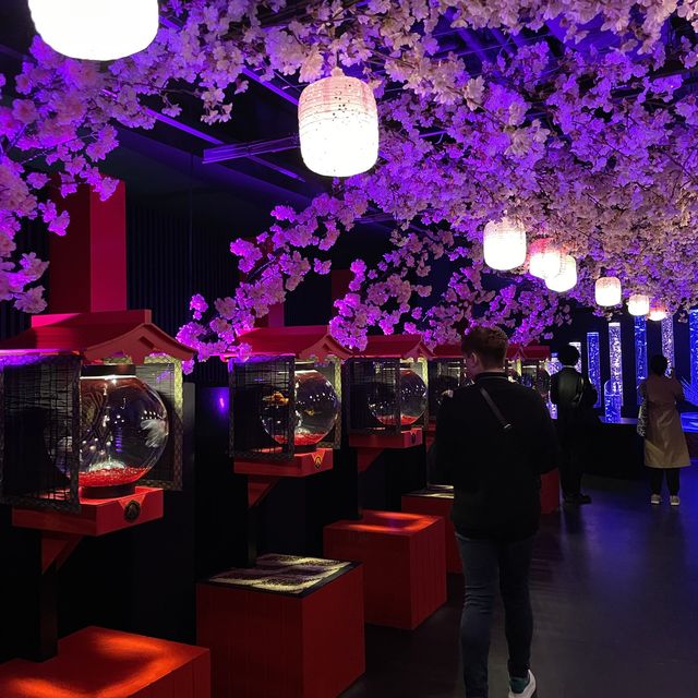 東京最美🗺️銀座藝術水族館🎏🎏🎏