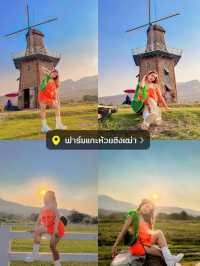 ✨ แจกพิกัด 9 โลเด็ด ถ่ายรูปปังในเชียงใหม่ 📸