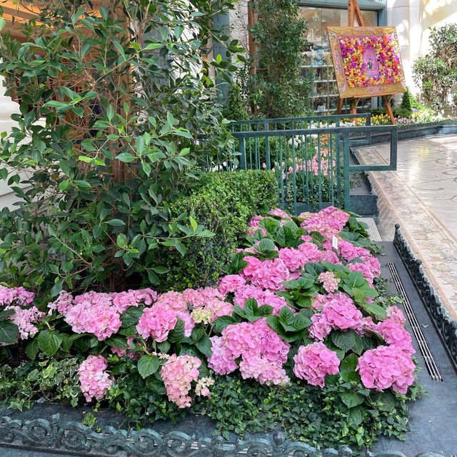 🇺🇸💦ดูน้ำพุและสวนดอกไม้ที่เบลลาจิโอ🌸💐