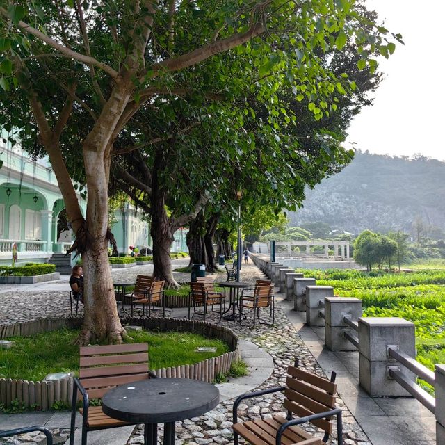 Taipa Wetland Park 