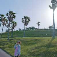 唔一定要去復活島🗿宮崎縣：日南太陽花園