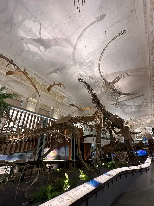《台北》雨天室內親子景點推薦 恐龍化石超驚艷-台灣博物館