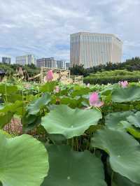 The beautiful Greenland in Macau 