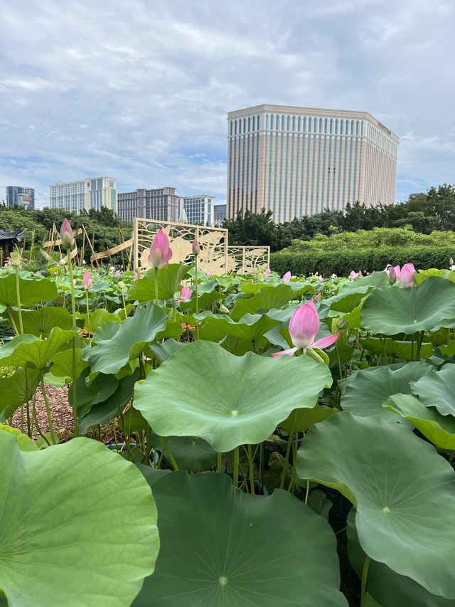 The beautiful Greenland in Macau 