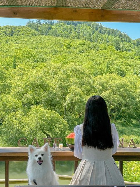 이제는 수박빙수의 계절🍉🍧❤️