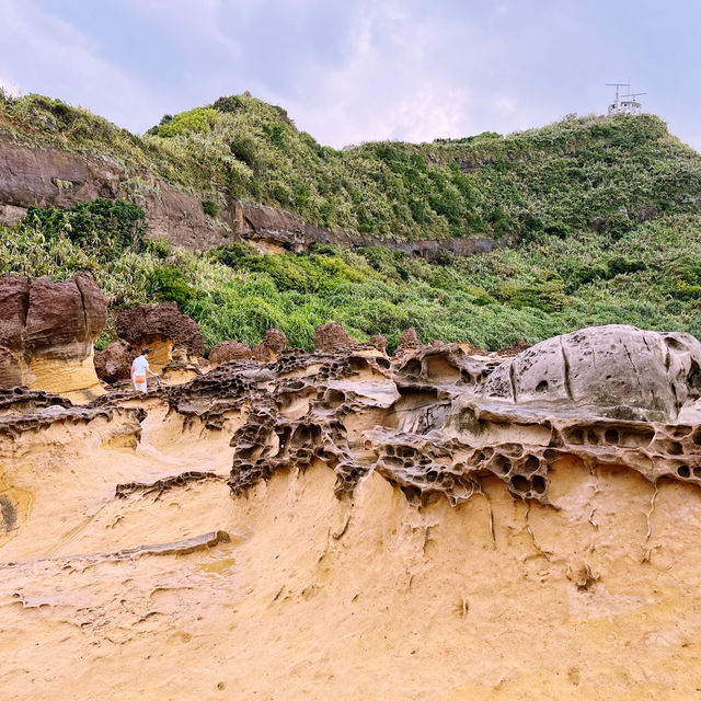 The Wonderful Rocks at Yehliu Geopark 🩵