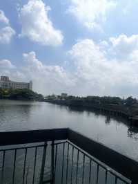 桃園市｜新屋區｜新屋埤環湖步道（桃園大圳12-2號池）