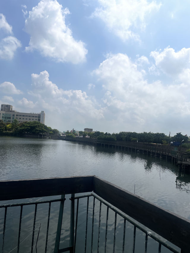 桃園市｜新屋區｜新屋埤環湖步道（桃園大圳12-2號池）