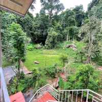 Tropical Cafe' SaiThai Krabi