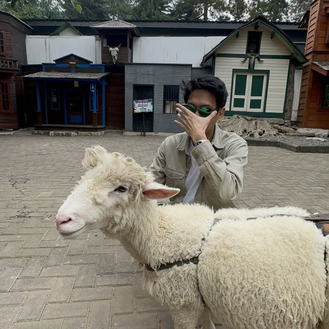 Dutch atmosphere farm house Lembang