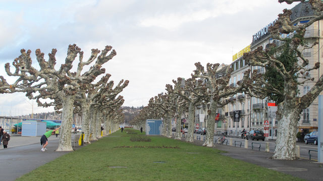 STROLLING AROUND GENEVA SWITZERLAND