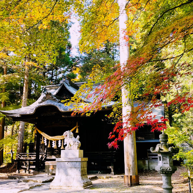 【長野県/紅葉が美しい🍁”出早雄小萩神社”と”出早公園”】