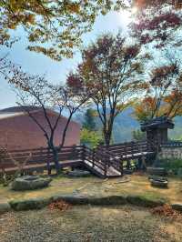 단풍구경도 하고 역사관람도 하는 강릉관광코스🍂