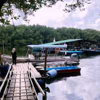 Experience the Mangrove tour in Desaru