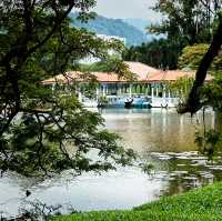 Taiping Lake Gardens