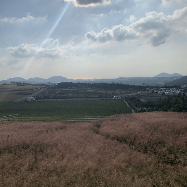 12월 제주 여행