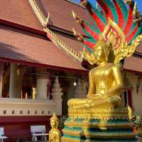 Timeless Tranquility: Wat Chan Legacy