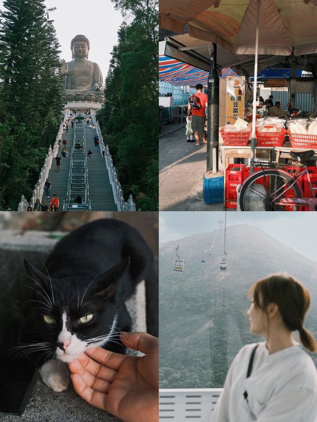 遠離喧囂 |大嶼山 大澳漁村 一日漫遊~