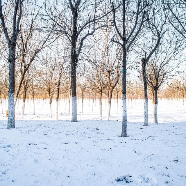 เที่ยวจีนเมืองเล็กๆชานเมืองหิมะฟูๆถ่ายรูปสวยมาก