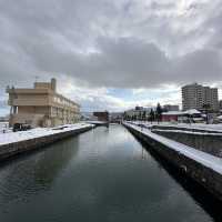 Amazing day trip OTARU CANAL