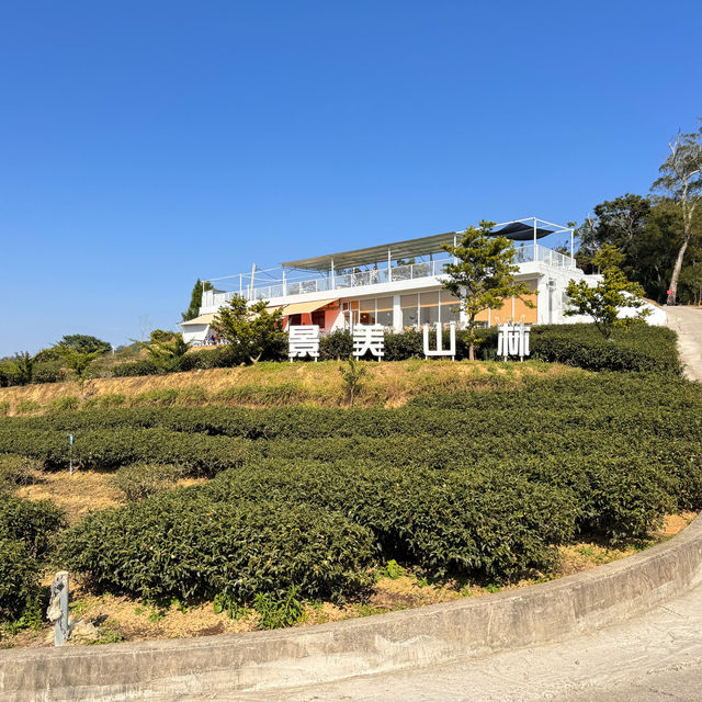 景美山林茶園&山月茶屋/桃園寵物友善網美景點