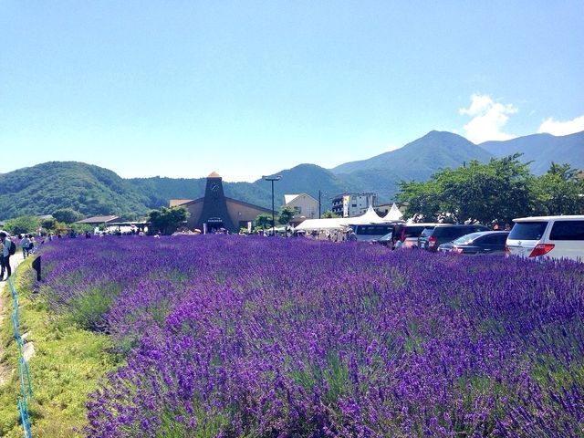 The best view of Mt. Fuji