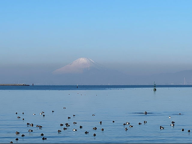 Shiohama Park