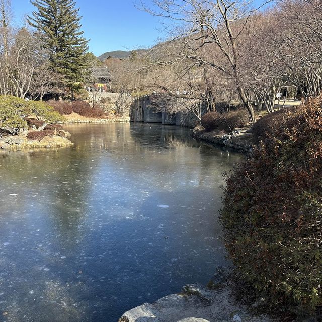 韓國｜慶州➿千年歷史佛國寺，滿滿的時代斑駁痕跡，必看金豬福豬唷