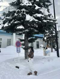 𝒮𝒶𝓅𝓅ℴ𝓇ℴ 🌨️ 하얀 눈으로 가득한 ⊹⁺⸜ 비에이투어⸝⁺⊹