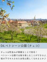 【海外旅行】春に見たい世界の絶景7選🌸