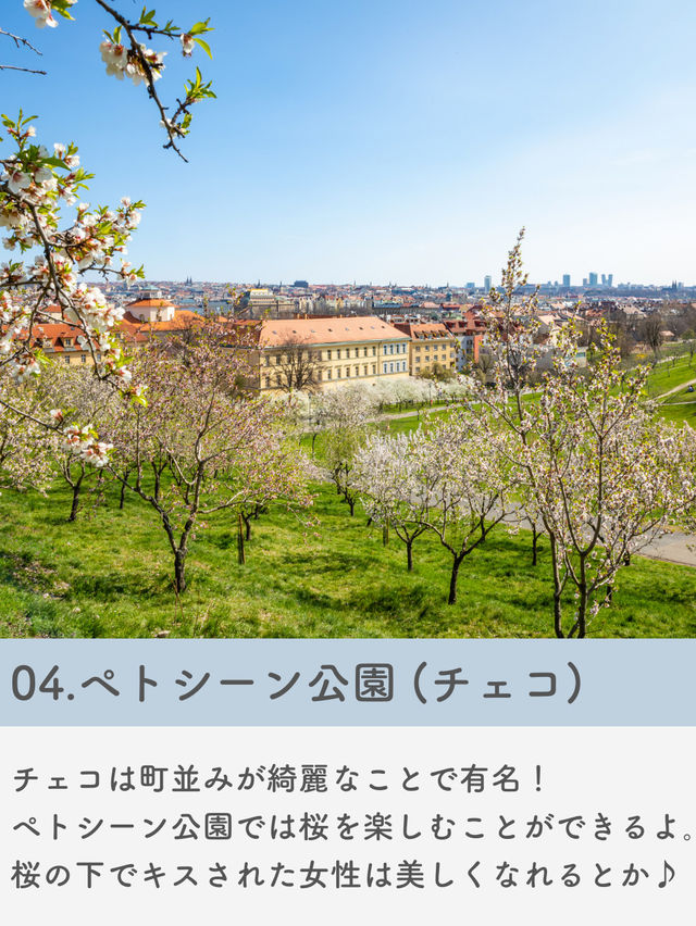 【海外旅行】春に見たい世界の絶景7選🌸