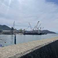 淡路島！ドキドキうずしおクルーズ🌊🚢