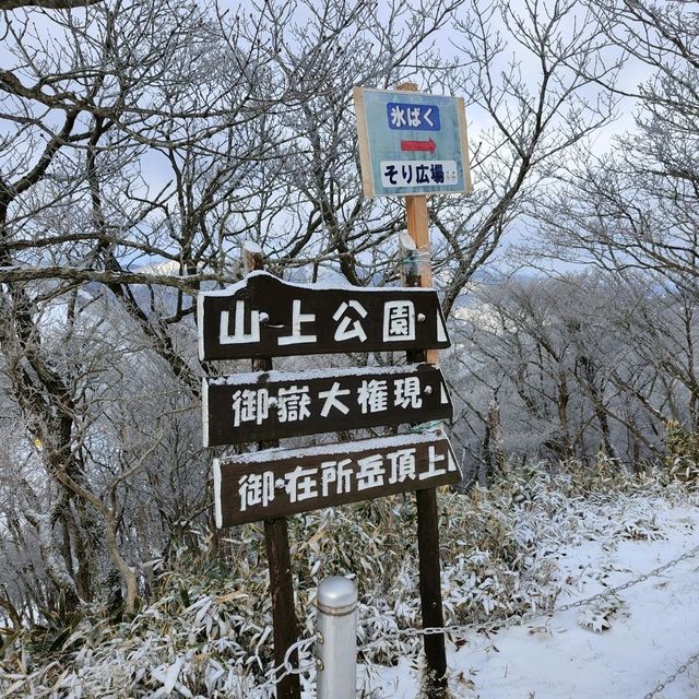 名古屋冬天限定樹冰與冰瀑，可滑雪玩雪撬