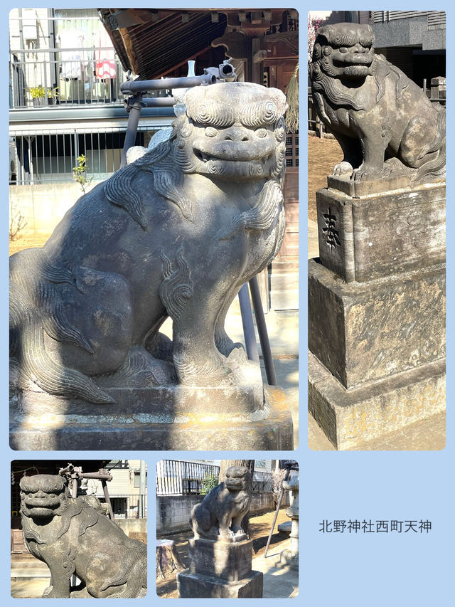 【北野神社西町天神/東京都】梅とカヤと銀杏に囲まれた神社