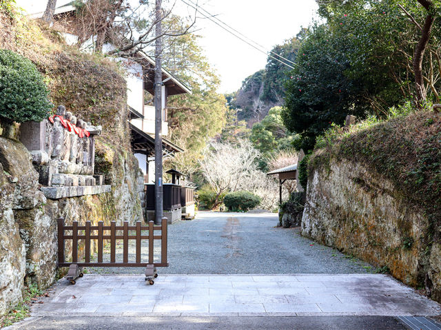 【神奈川県】 弘法大師・空海が開山した鎌倉の秘境寺「今泉不動尊」 【神奈川県】 弘法大師・空海が開山した鎌倉の秘境寺「今泉不動尊」
