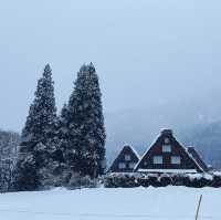 冬日的童話小屋們😽 -合掌村☃️🛖