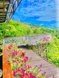 Lamai Viewpoint 