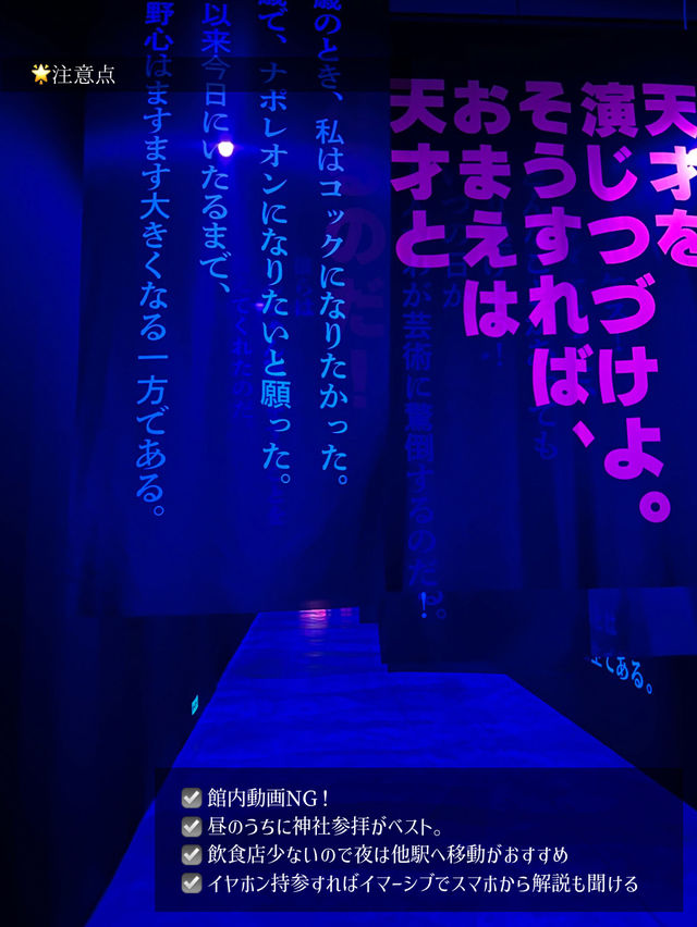 【保存版】絶対見逃せないイマーシブミュージアムダリ展