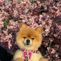 穴場スポット？？？🌸