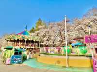 Seoul Children's Grand Park 