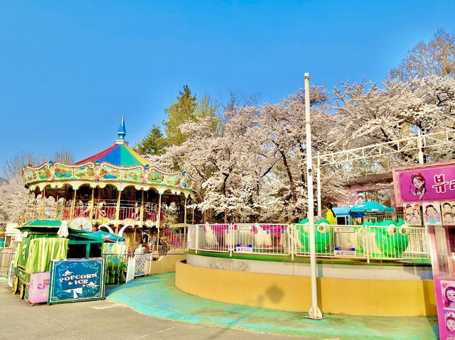 Seoul Children's Grand Park 