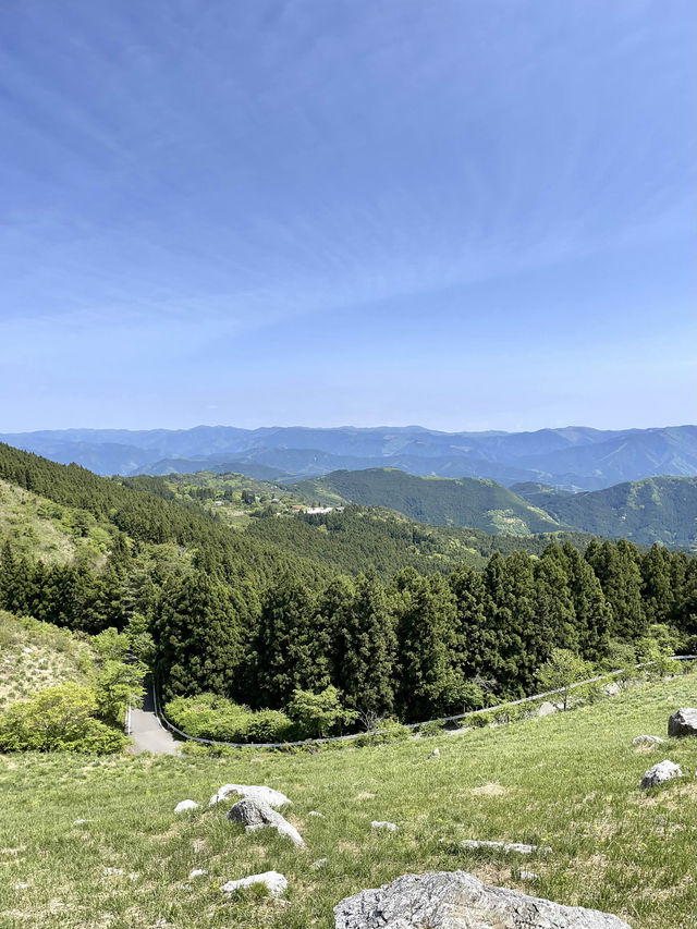 【和歌山】誰でも簡単に絶景とのコラボ写真が撮れるスポット