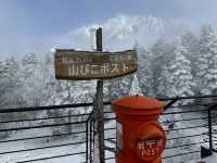 Shinhotaka Ropeway ในวันที่หิมะตก❄️☃️