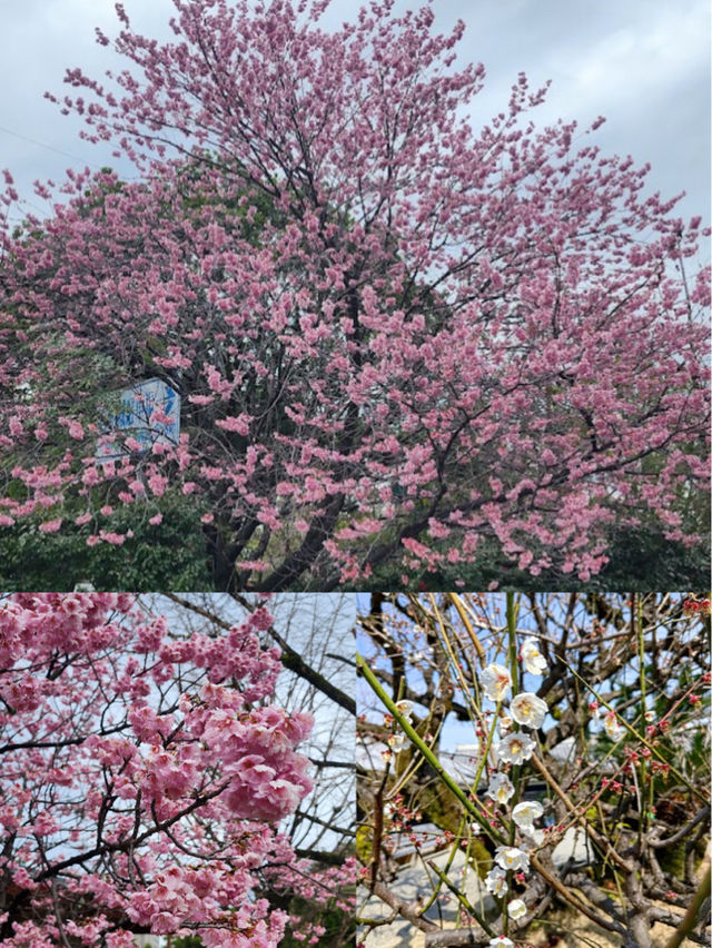 【高知公園】寧靜優美，適合放鬆身心的好去處