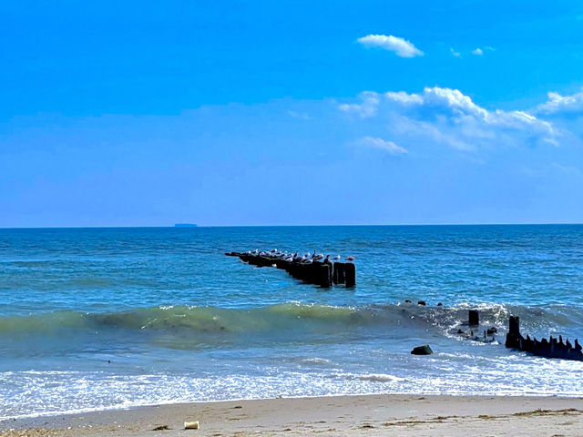 The People's Beach at Jacob Riis Park