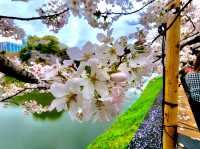 Chidorigafuchi Moat