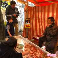 「橫濱人最愛賞櫻景點」 大岡川櫻花散步道