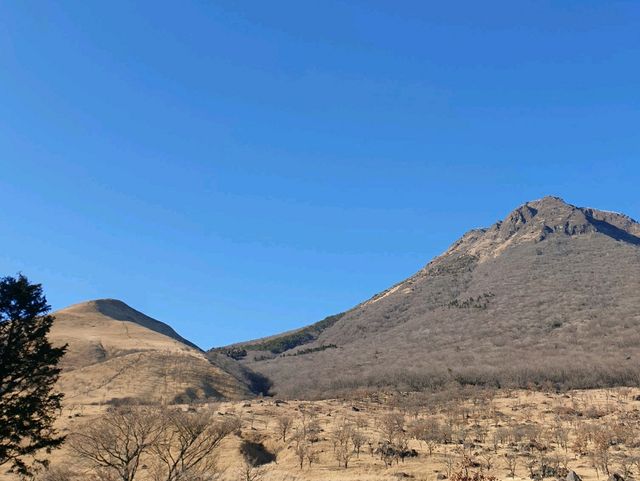 사계절 내내 다른 매력, 유후다케⛰🏔🗻